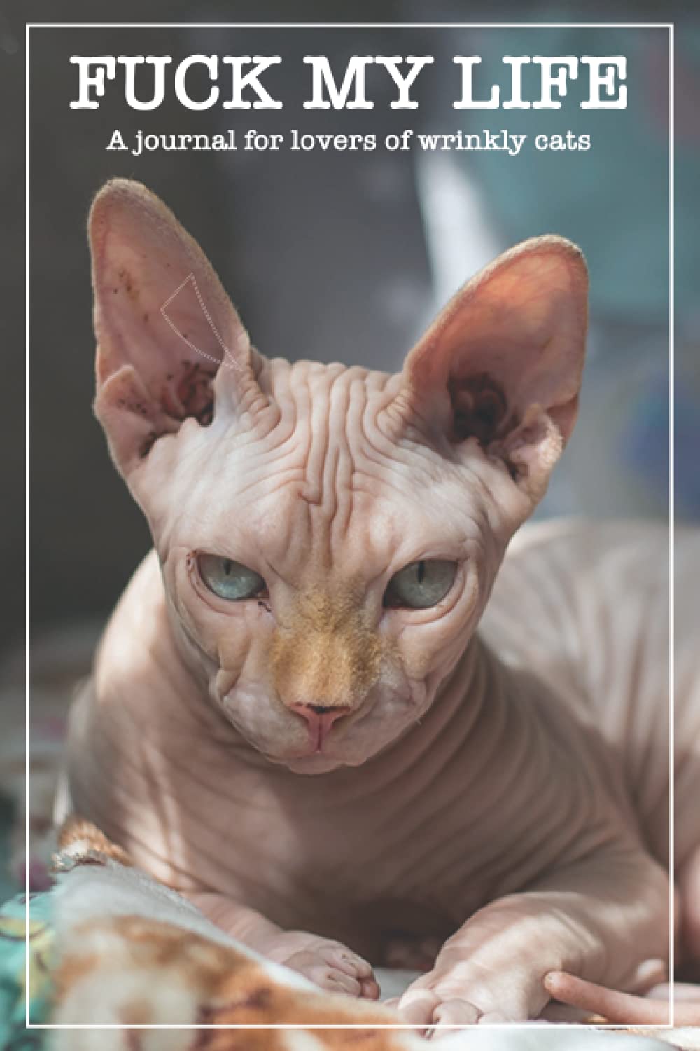 洋書  CATS life 813dFRZ1k+L._UF350,350_QL50_.jpg